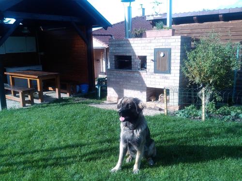 Animal ou animaux domestique(s) séjournant avec des clients dans l'établissement Ubytování u Kubů