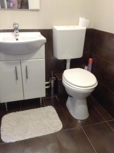 a bathroom with a white toilet and a sink at Harsányi vendégház in Miskolctapolca