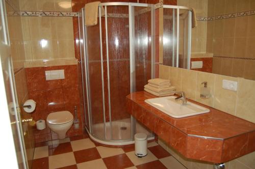 a bathroom with a shower and a sink and a toilet at Villa Paula in Bansin