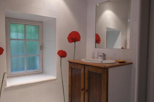 uma casa de banho com um lavatório, uma janela e flores vermelhas em Le Petit Massigny em Velluire