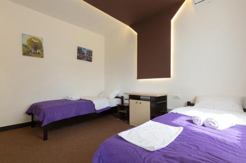 Gallery image of Hotel Oplenac in Topola
