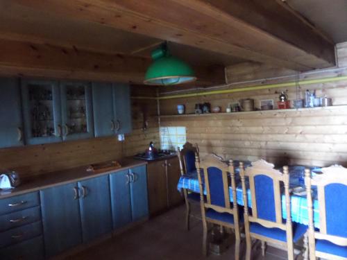 Kuchyňa alebo kuchynka v ubytovaní Nad Jeziorem Zelwa - Puszcza Augustowska
