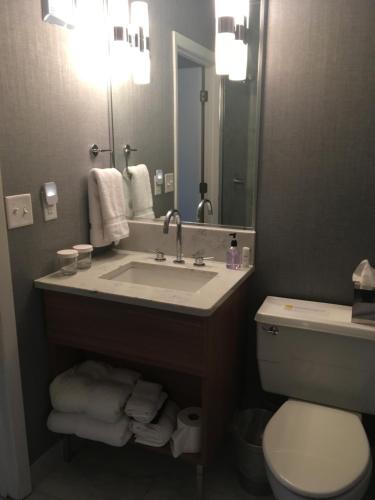 een badkamer met een wastafel, een toilet en een spiegel bij Erik's Retreat in Edina
