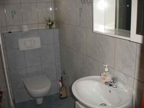 ein Badezimmer mit einem Waschbecken, einem WC und einem Spiegel in der Unterkunft Apartmani Dokoza in Drage