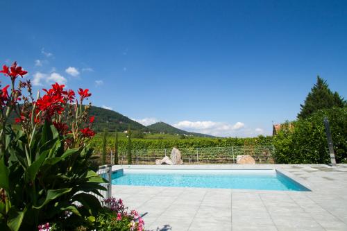 une piscine dans un jardin avec des montagnes en arrière-plan dans l'établissement Les gites de Georgia, à Voegtlinshoffen