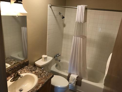 a bathroom with a toilet, sink, and shower at Lakeshore Inn & Suites in Anchorage