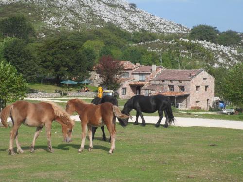 a group of horses standing in a field at Casa Rural La Retuerta in Nava