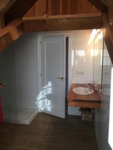 a bathroom with a sink and a glass door at Casa Campo in Abay