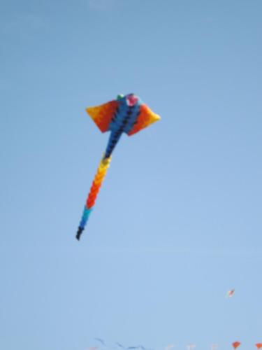 a kite is flying in the sky at Chambres d'Hôtes Villa Mon Repos in Saint-Aubin-sur-Scie