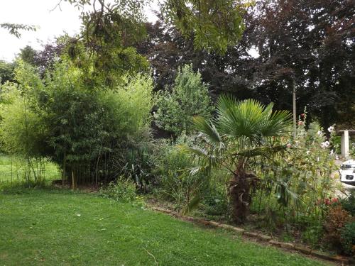a garden with trees and plants in a yard at Chambres d'Hôtes Villa Mon Repos in Saint-Aubin-sur-Scie