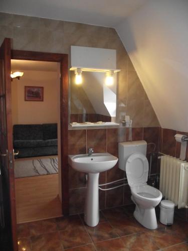 a bathroom with a sink and a toilet and a mirror at Villa Carmelita in Craiova