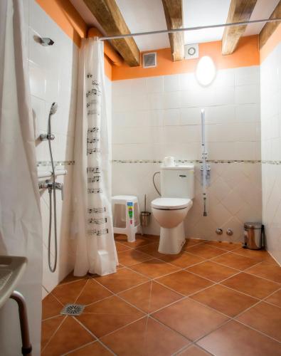 a bathroom with a toilet and a shower at Molino del Medio Apartamentos Rurales in Robledillo de Gata