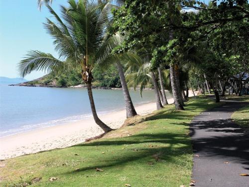 a path next to a beach with palm trees at Trinity Waters Boutique Beachfront in Trinity Beach