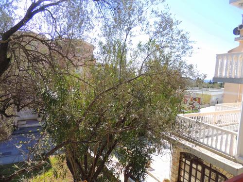 Fotografie z fotogalerie ubytování Guest House Jelena v destinaci Budva