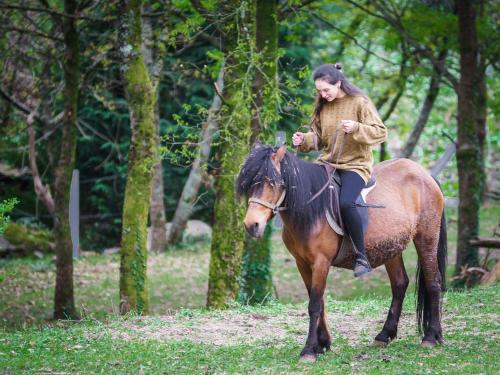 ゲストハウスの敷地内または近くにいる動物