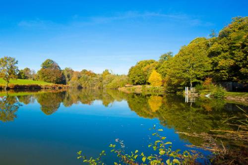 a river with a reflection of trees in the water at Etoile de Pompadour in Arnac-Pompadour