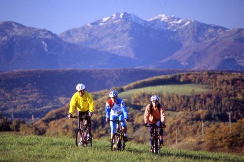 three people riding bikes on a hill with mountains in the background at Hôtel De France in Chalabre