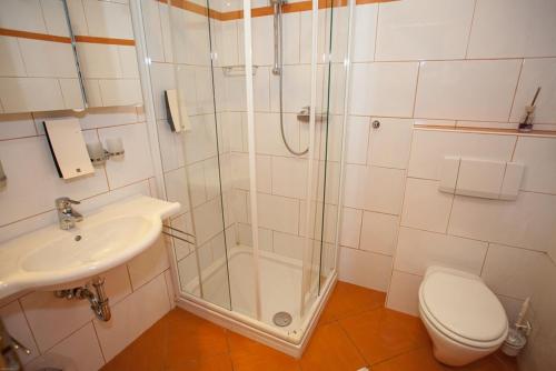 a bathroom with a shower and a toilet and a sink at Gasthof Roderich Hotel in Langenzersdorf