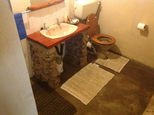 a bathroom with a sink and a toilet at Sundowner Lodge in Hwange