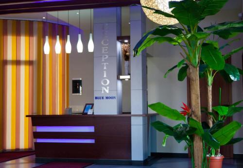 an office with a reception desk and a plant at Hotel Blue Moon in Ulcinj