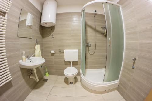a bathroom with a shower and a toilet and a sink at Villa Ami in Novi Sad