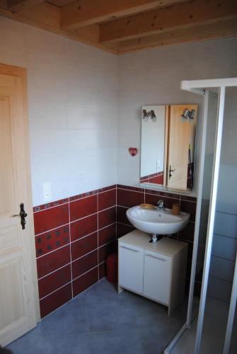 une salle de bain avec un lavabo et un miroir dans l'établissement Christelle et Laeticia, à Gérardmer