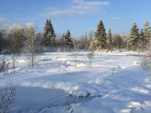 a snow covered field with trees in the background at Venngasthof Zur Buche in Monschau