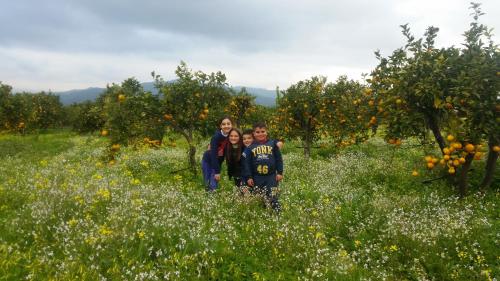 a family standing in a field of orange trees at Villa Laura Apartment in Giardini Naxos