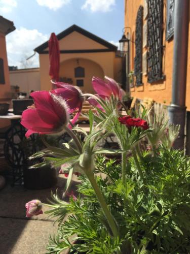 a group of flowers in front of a building at Altes Handelshaus Plauen in Plauen