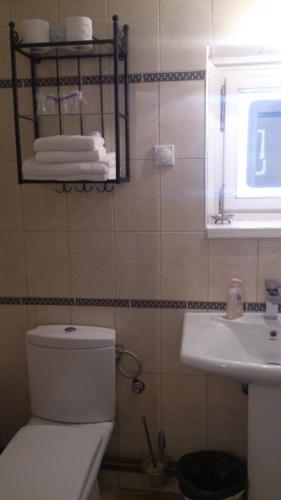 ein Bad mit einem WC, einem Waschbecken und einem Fenster in der Unterkunft Salaš Đorđević in Subotica