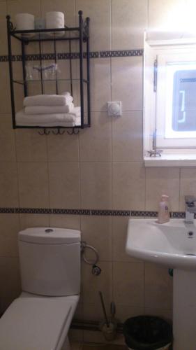 baño con aseo y lavabo y ventana en Salaš Đorđević, en Subotica