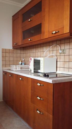 A kitchen or kitchenette at Bruckner Villa Apartman