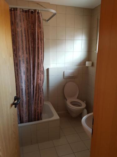 a bathroom with a toilet and a shower curtain at Gästehaus Kübler in Weissach