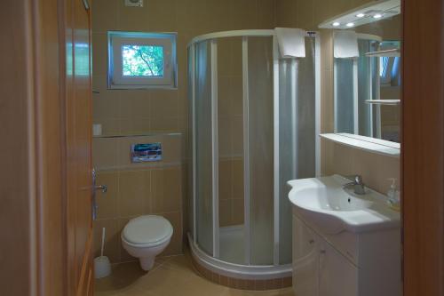 a bathroom with a shower and a toilet and a sink at Apartments Šuster in Stari Trg ob Kolpi