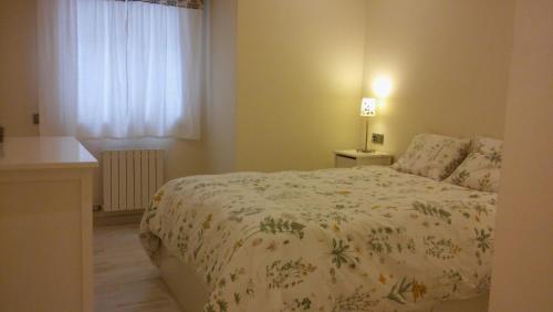 een slaapkamer met een bed en een raam bij APARTAMENTO Plaza de la Peregrina Pontevedra VUT-PO-03908 in Pontevedra