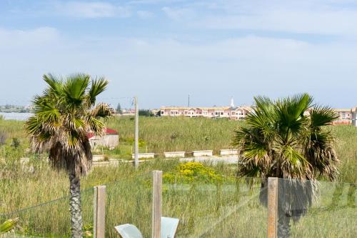 two palm trees in a field next to a fence at Lalena's Garden in Portopalo