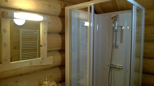 a bathroom with a shower and a mirror at Chambres d'hôtes La Gargaille in Alièze