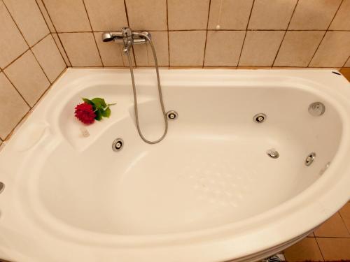 Kylpyhuone majoituspaikassa Astromeria