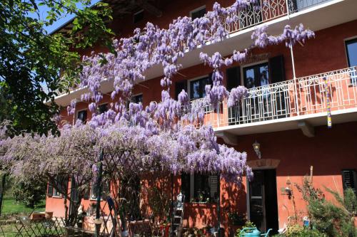 a purple wisteria tree in front of a building at Otium B&B in Cavallirio