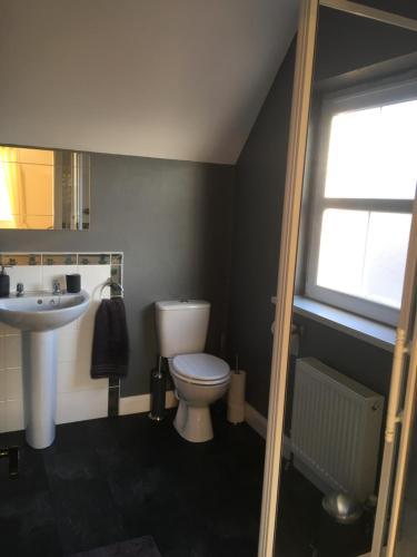 uma casa de banho com um WC, um lavatório e uma janela em The Grange, Portrush Sleeps 13 6 bedrooms em Portrush