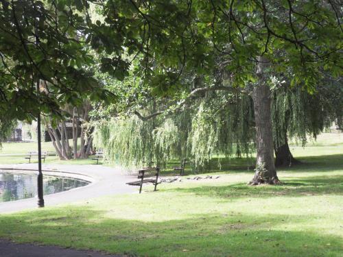 a park with a bench under a tree and a pond at Rosemead Guest House in Paignton