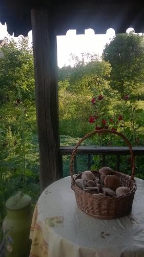 Taman di luar Jabłkowo-na skraju Puszczy Boreckiej ŚNIADANIA W CENIE