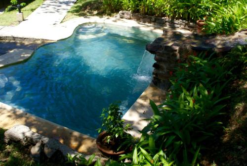 a small pool with blue water in a garden at Vida Aventura Ranch in Tanques