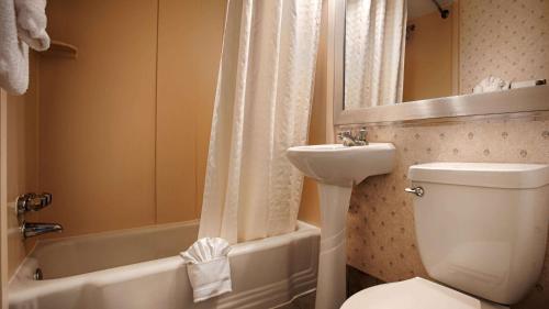 a bathroom with a toilet and a sink and a shower at Hotel Pentagon in Arlington