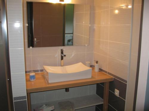 a bathroom with a sink and a mirror at Le Peyroux in Teilhet