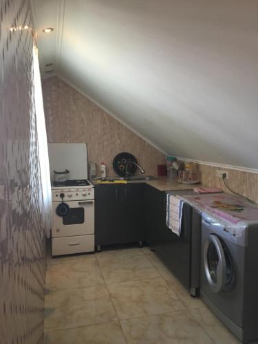 a kitchen with a stove and a washing machine at Homestay in Batumi Дом в Чакви in Chakvi