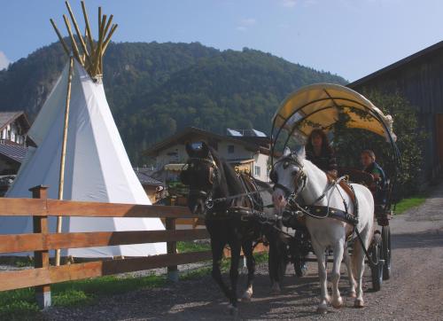 a couple of horses pulling a carriage with people at Reitanlage Dagnhof in Walchsee