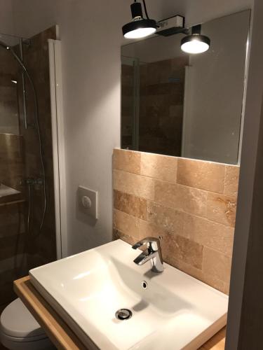 a bathroom with a sink and a shower and a mirror at Anahouse in Vişeu de Sus