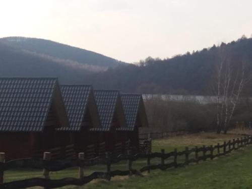 Photo de la galerie de l'établissement Wakacyjne domki, à Solina