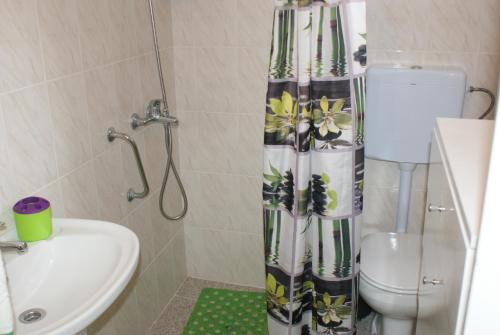 a bathroom with a toilet and a shower curtain at Cantinho do mar in Urzelina